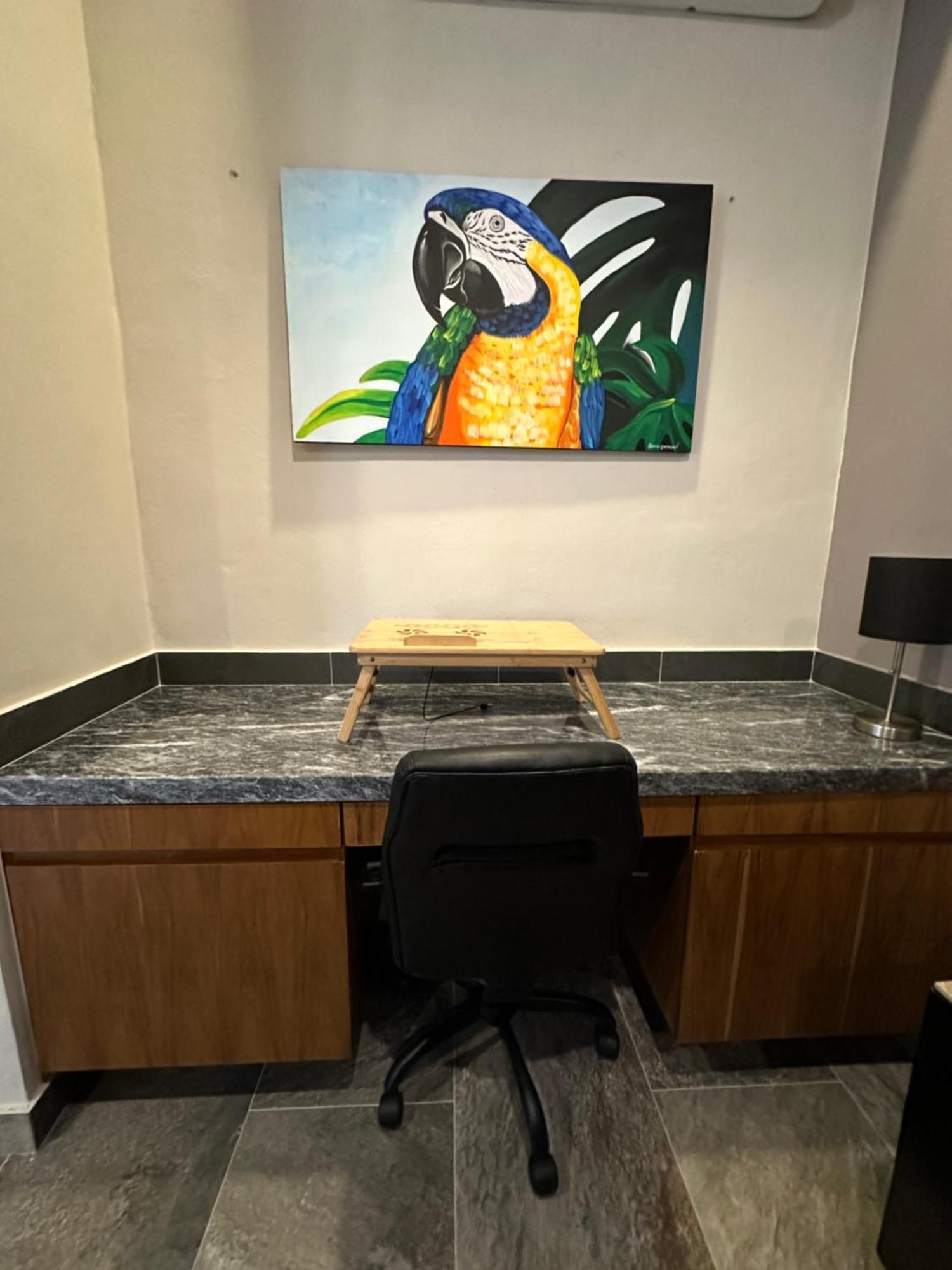 Oasis Urban Retreat Apartment Канкун Екстериор снимка